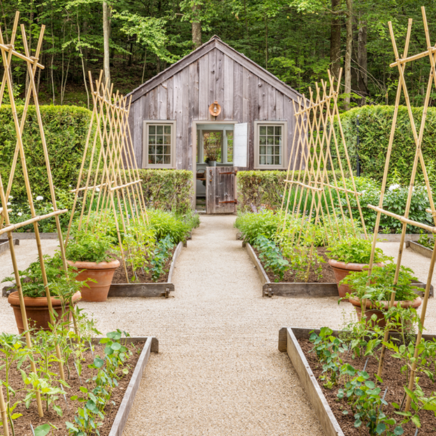 herb garden