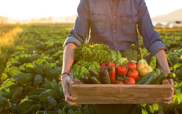 gardening for food