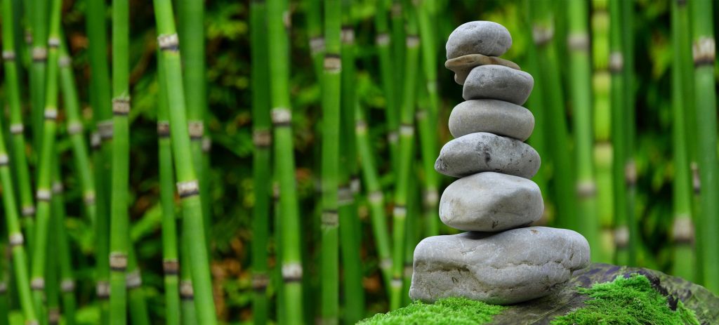 gardens with stones and bamboo